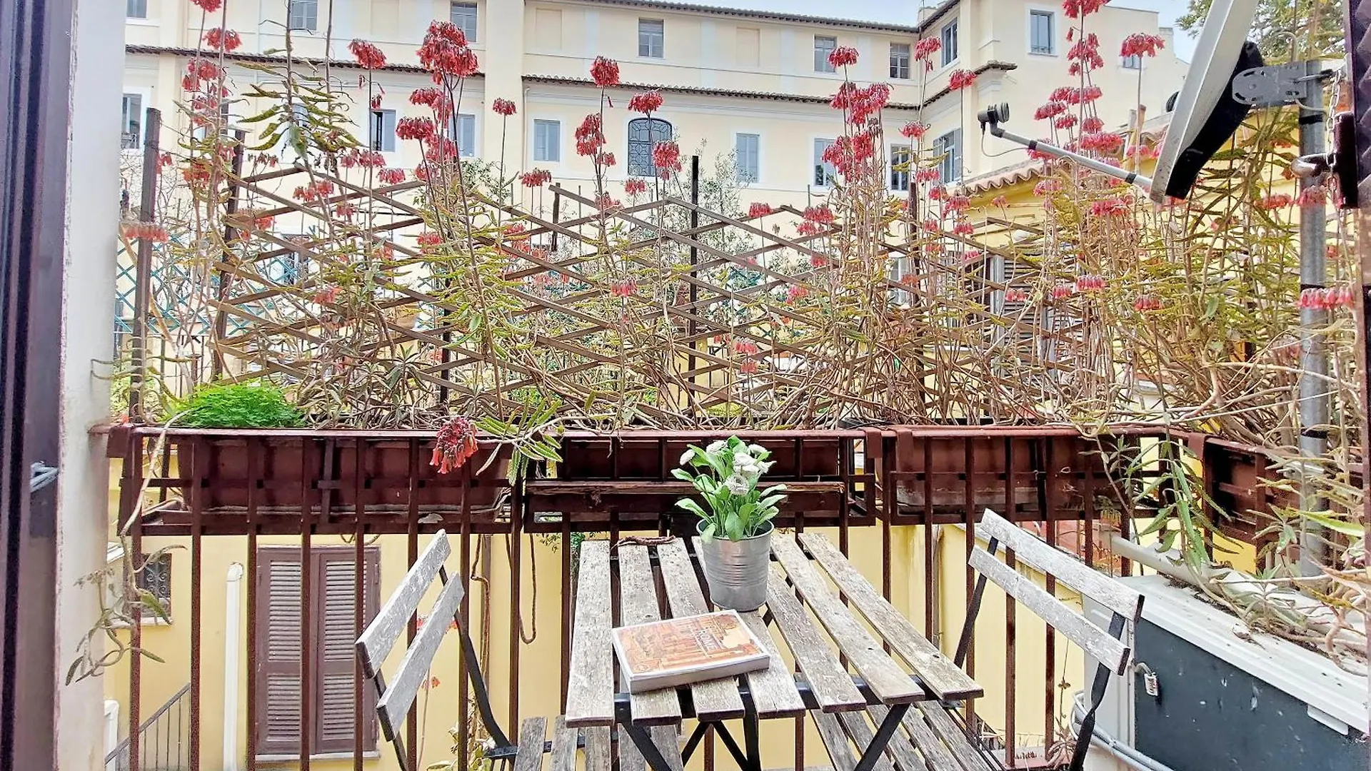 La Civetta A Navona Apartment Rome